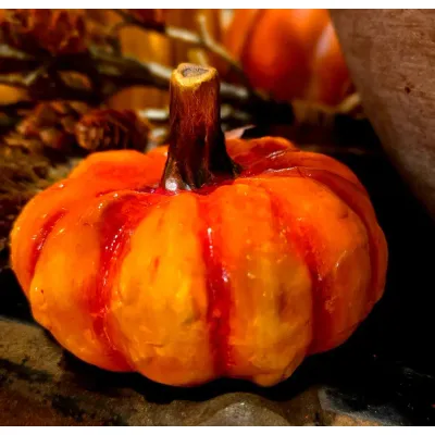 Marigold Pumpkin 4x4x3in