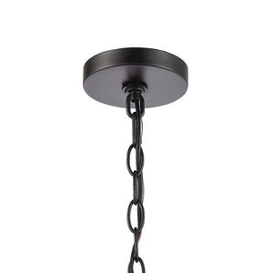 Radnor 8'' Wide 1-Light Outdoor Pendant - Matte Black 5