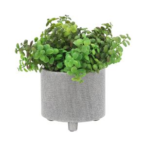 BRADY SET OF 2 SILVER PLANTER 6 (IN) 3