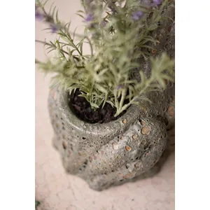 Terracotta Frog Planter with Rustic Glaze 2