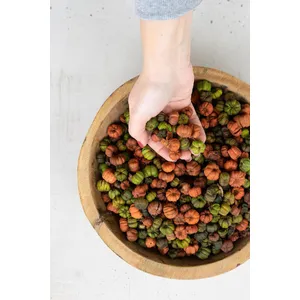 Bag of Orange and Green Putka Pods 1