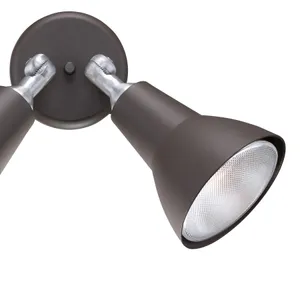 Daley 11'' High 2-Light Outdoor Sconce - Black 4