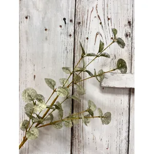 Christmas Eucalyptus Pick 1