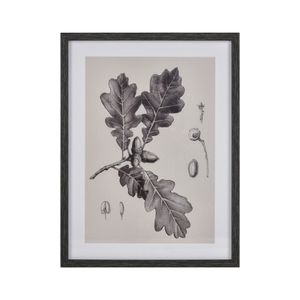 Foliage I Botanic Framed Wall Art - Ivory 1