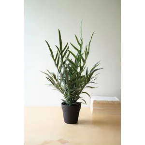 Artificial Fern in a Black Plastic Pot 1