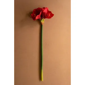 Artificial Amaryllis Stem 1