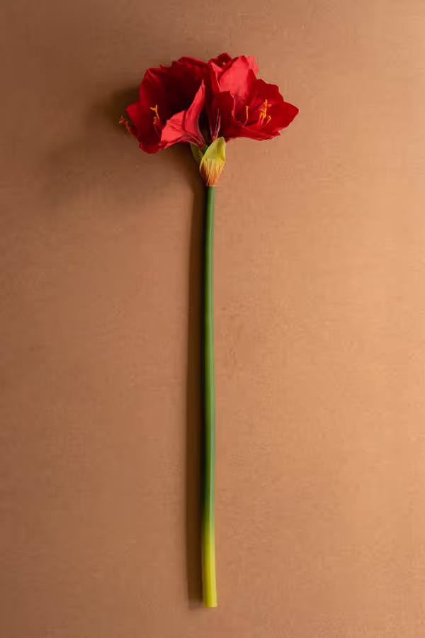 Artificial Amaryllis Stem