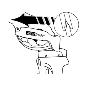 AugerSharp - Regular 6