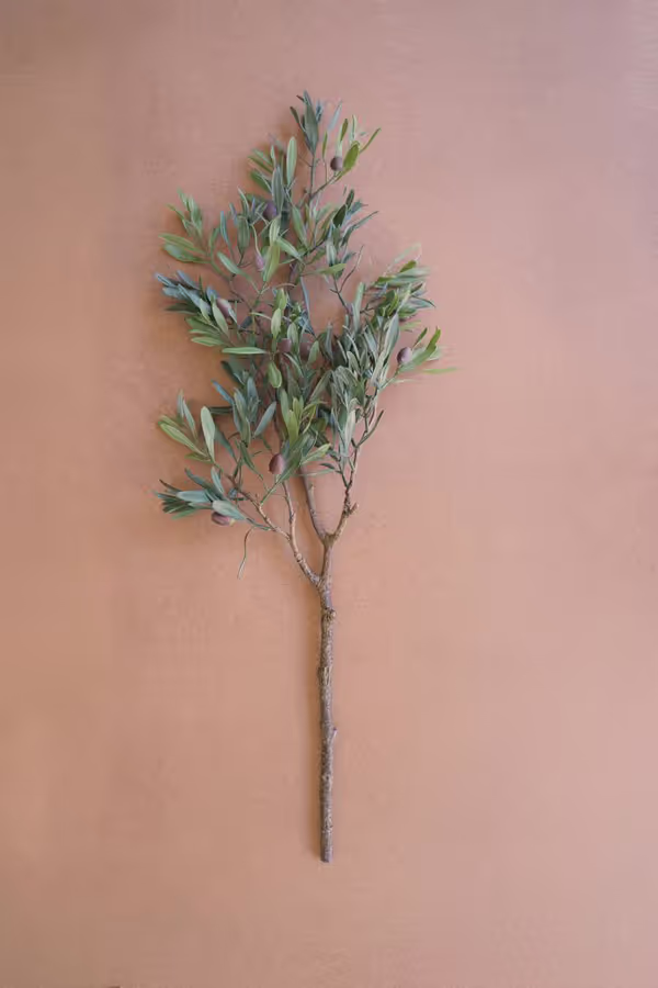 Artificial Olive Branch