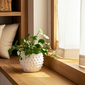 BLAIRPARK WHITE PLANTER 5 (IN) 2