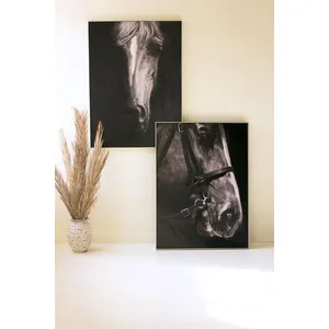 Framed Black and White Front View Horse Painting 3