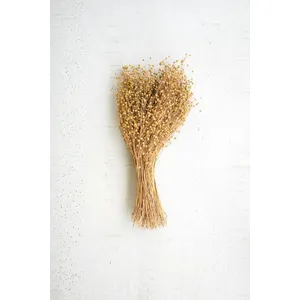 Bundle of Natural Lino Stems 1