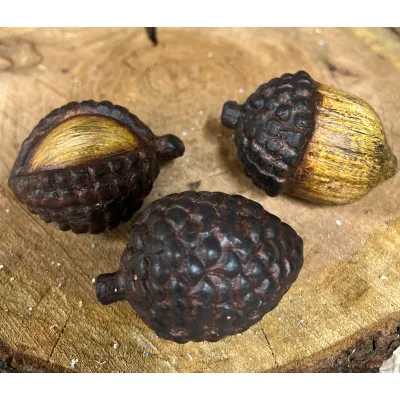 Acorn 2.75x2in Set of 3
