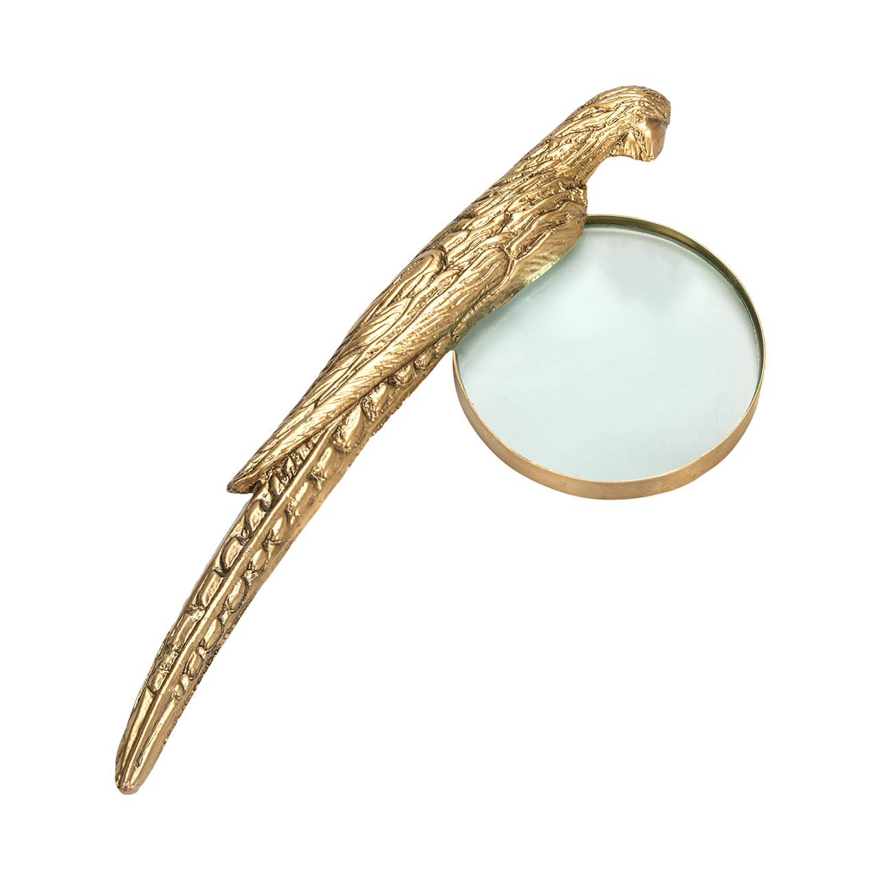 Norine Magnifying Glass 8