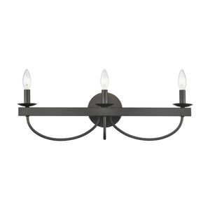 Williamson 24'' Wide 3-Light Vanity Light - Black 2