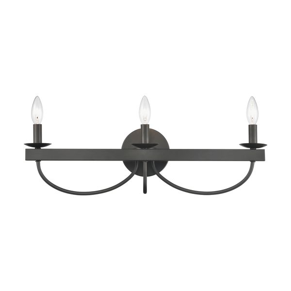 Williamson 24'' Wide 3-Light Vanity Light - Black