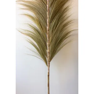 Decorative Palm Fans with Bamboo Stems 3