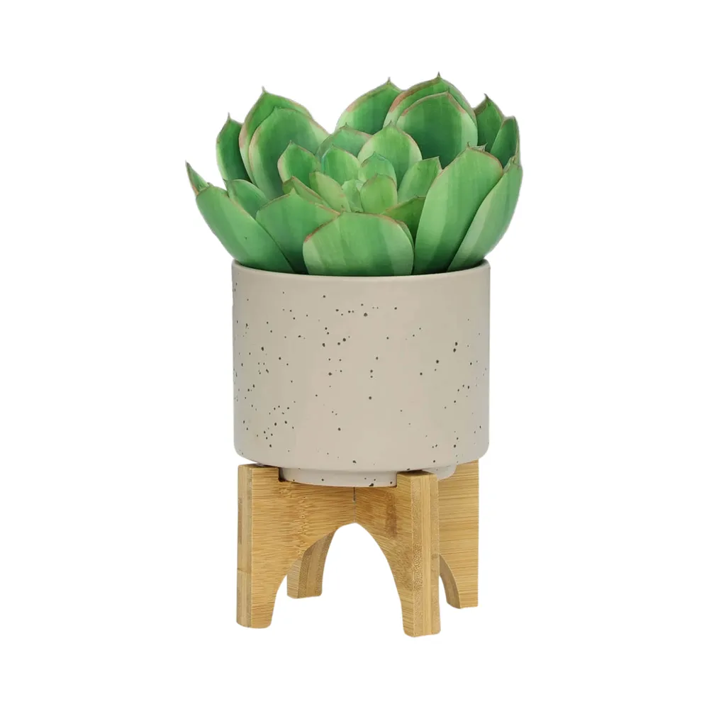 FRAZERWICK SET OF 2 IVORY PLANTER 9 (IN)