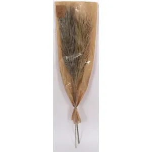 Grey Nanal Flower Stick 39in 1