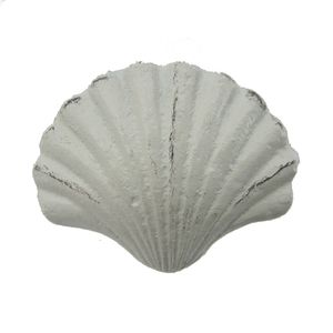 2.625" WHITE SCALLOP C/I DRAWER PULL 1