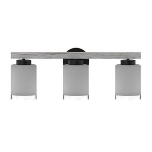 Briggs 24'' Wide 3-Light Vanity Light - Black 2