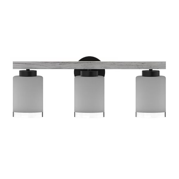 Briggs 24'' Wide 3-Light Vanity Light - Black