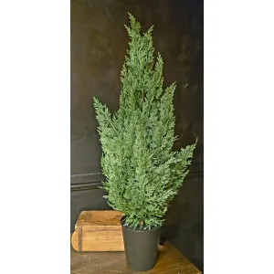 Winter Ridge 21in Potted Tree 2