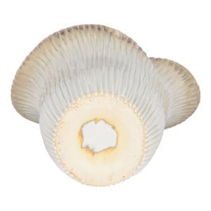 HALTONSHAW IVORY VASE 20 (IN) 7