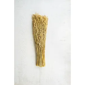Bundle of Natural Sea Oats 1