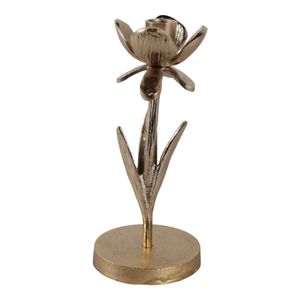 CALOAK GOLD CANDLE HOLDER 10 (IN) 1