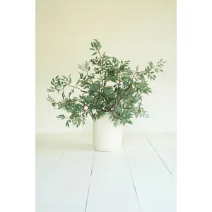 Botanica #3436 4