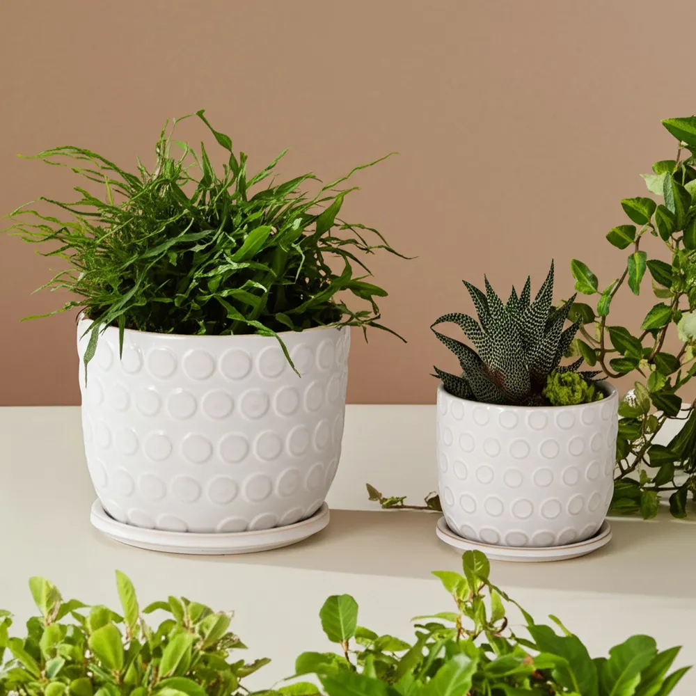 FIONAOAK SET OF 2 PLANTER 7 (IN)
