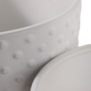 FIONAOAK SET OF 2 WHITE PLANTER 10 (IN) 7