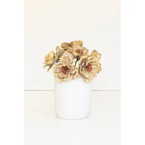 Botanica #9073 2