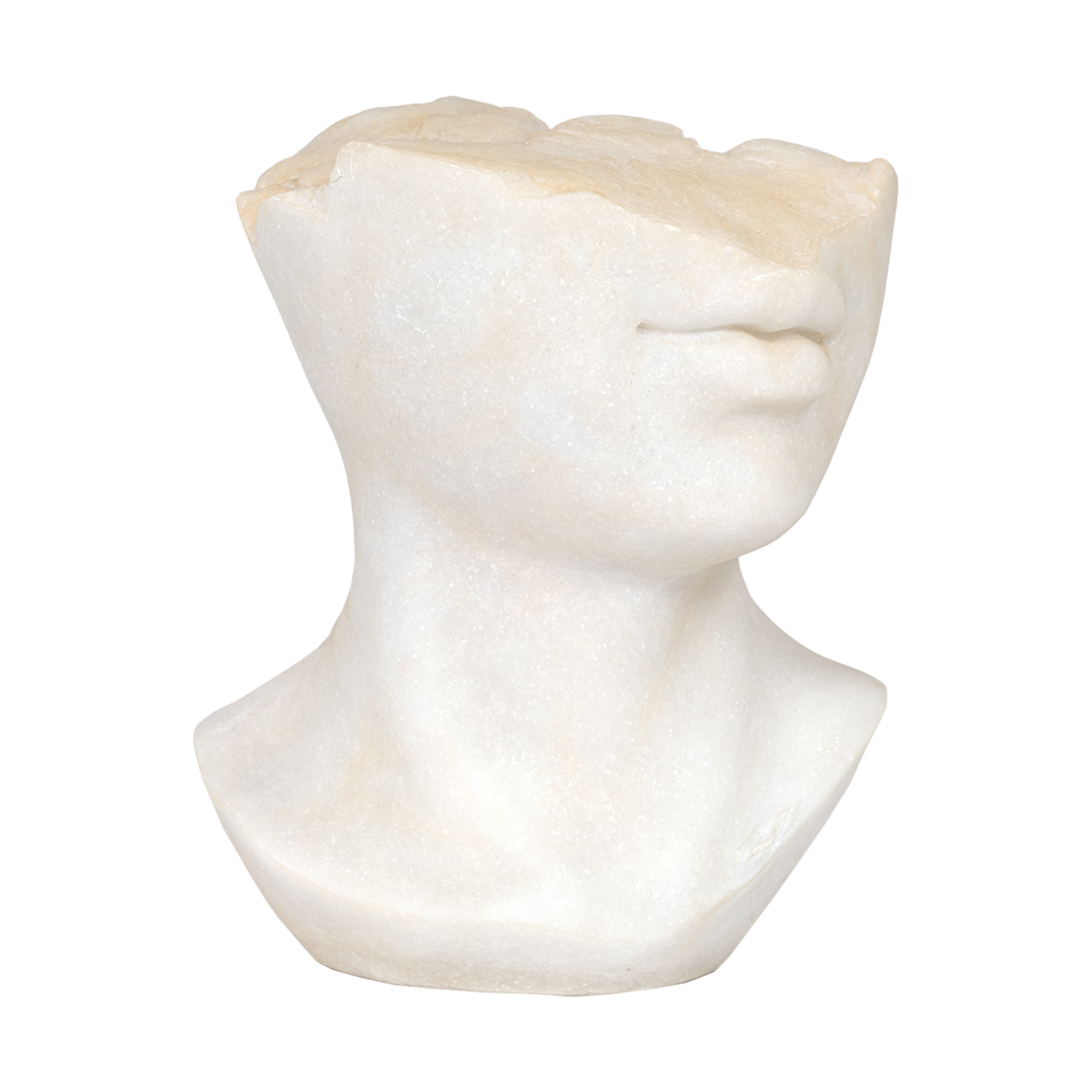 Aurelia Sculpture 7