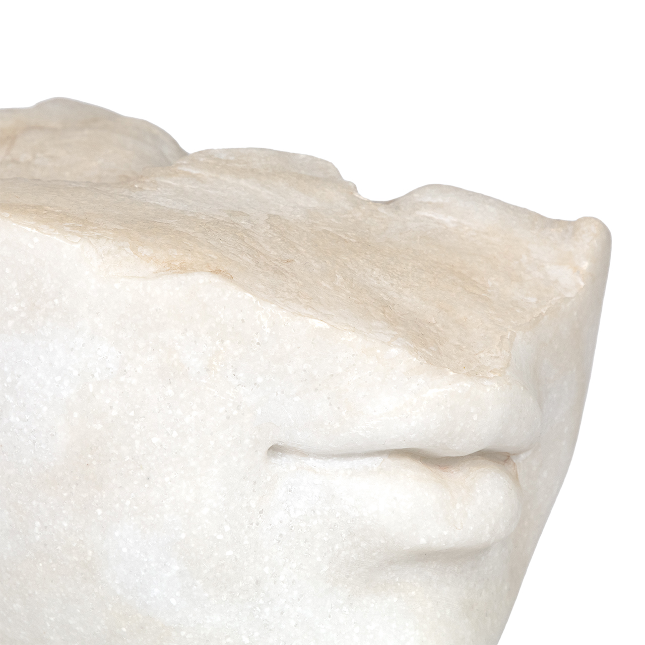 Aurelia Sculpture 5