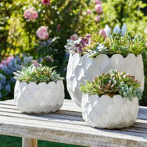 HAZENSHAW SET OF 3 WHITE PLANTER 11 (IN) 11