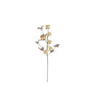 botanica #9027 2