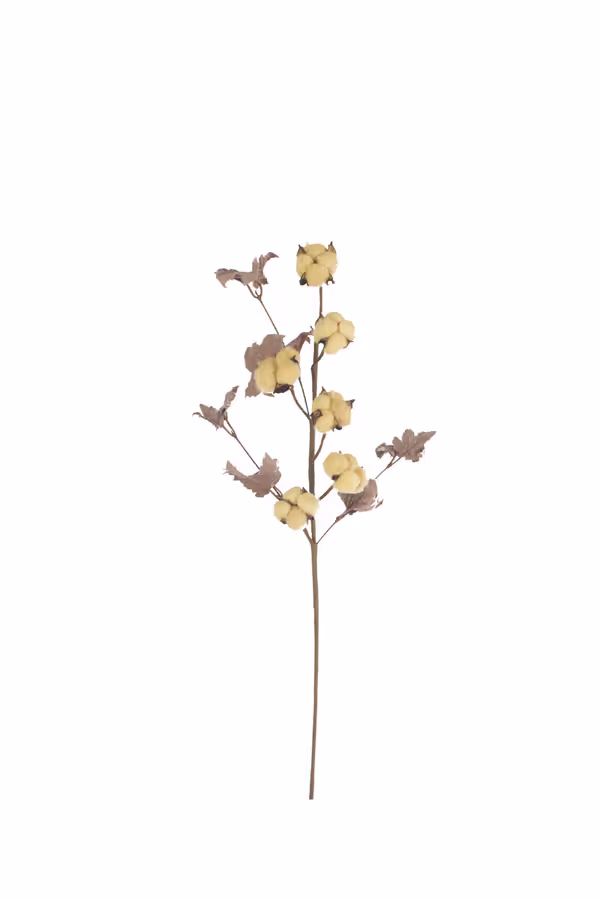 botanica #9027