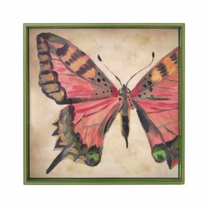Butterfly Study