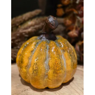 Settler Pumpkin 4x4x4in