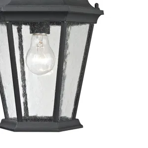 Temple Hill 10'' Wide 1-Light Outdoor Pendant - Matte Textured Black 4