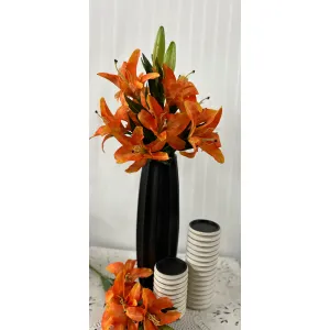 Tiger Lillies 28in 1