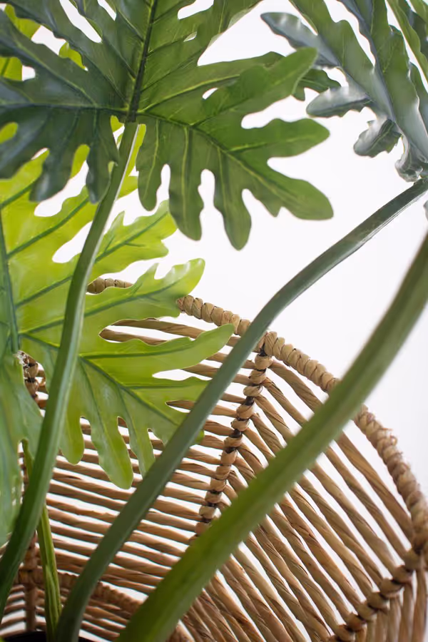 Iron and Seagrass Urn