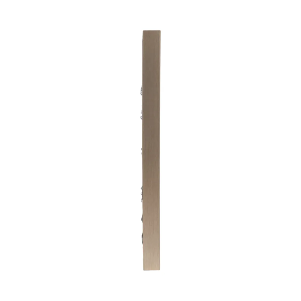 BRADENHAVEN SET OF 6 TAN ART 20 (IN)