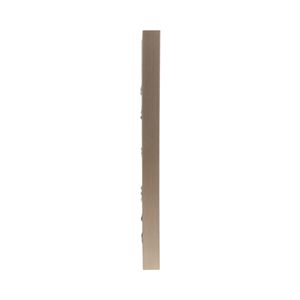 BRADENHAVEN SET OF 6 TAN ART 20 (IN) 6