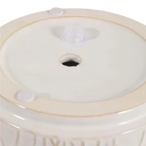 DANEBY SET OF 2 IVORY PLANTER 7 (IN) 9