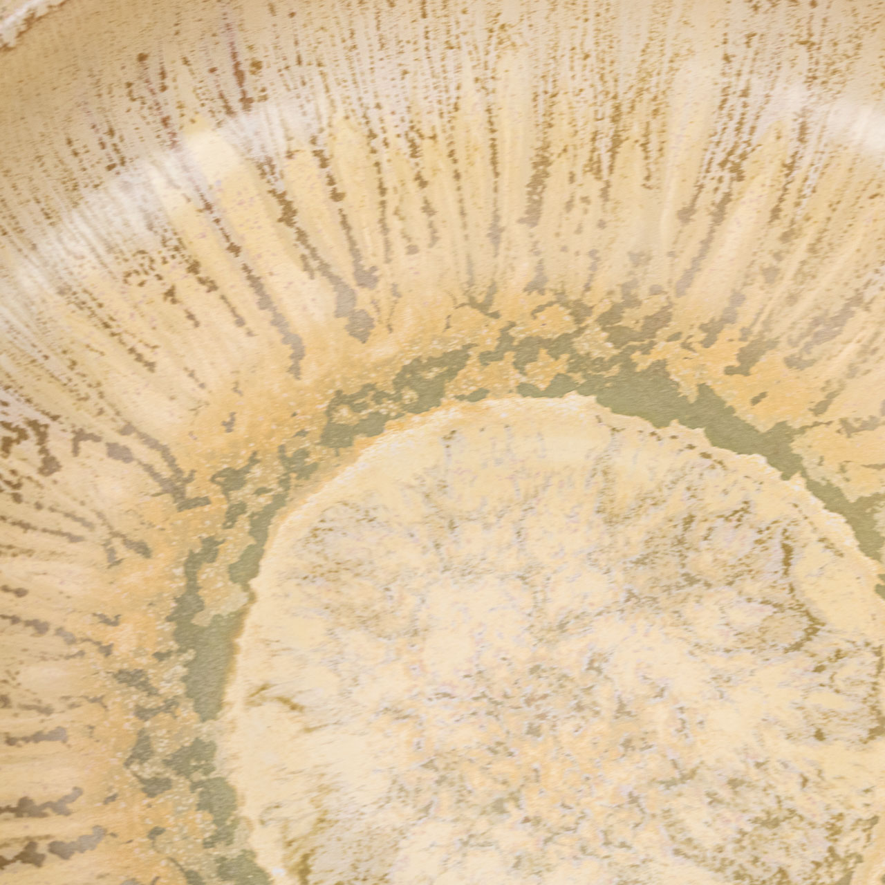Ishana Bowl 5