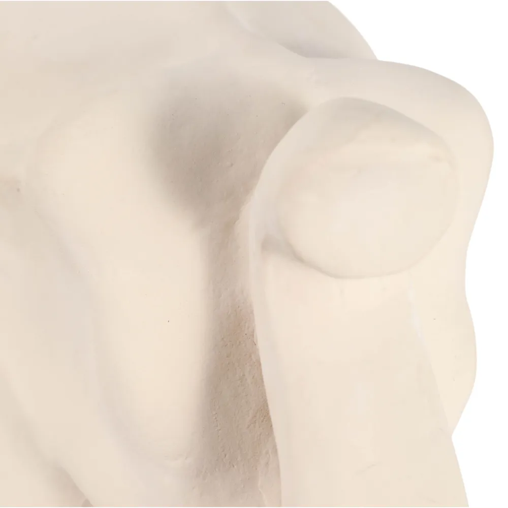 AVAVIEW IVORY DECOR 12 (IN)