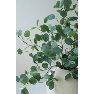 Botanica #3508 3